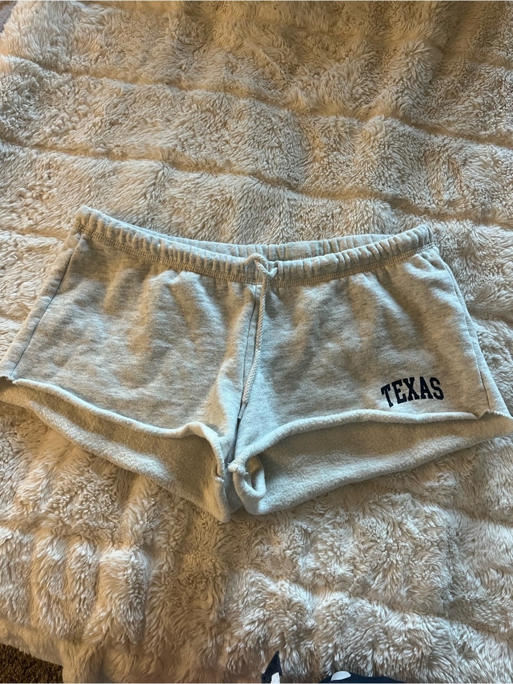 Brandy Melville Gray 'TEXAS' Athletic Lounge Shorts